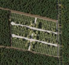 Real Montejo , Mérida