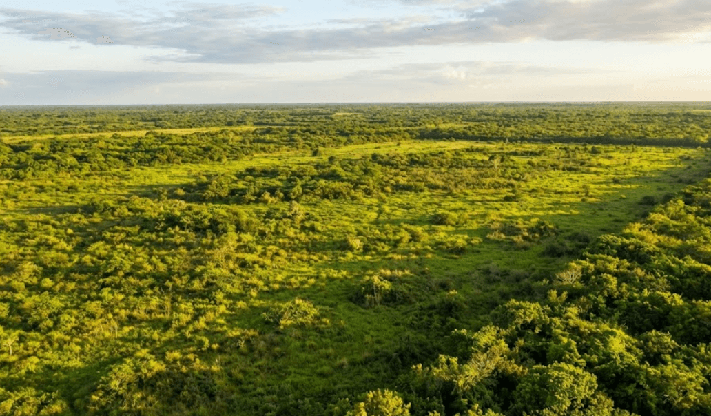 COMPRA TERRENOS BARATOS EN TICUL ALTA PLUSVALIA Y SEGURIDAD