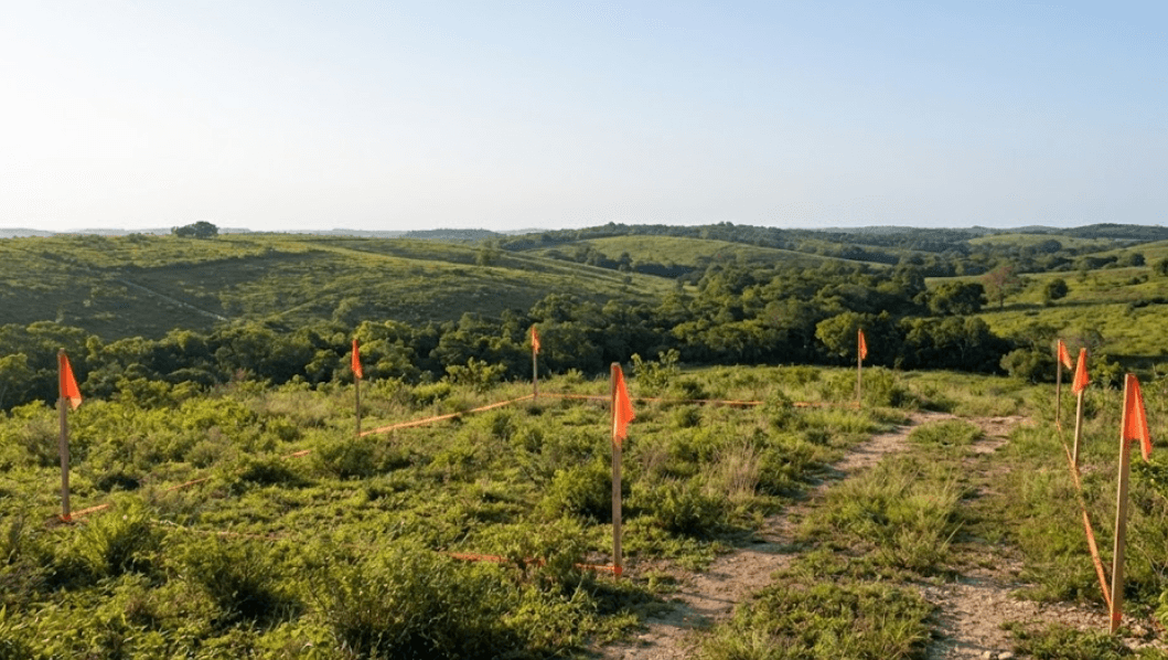 VENTA DE TERRENOS EN LA ZONA SUR DE YUCATAN ALTA PLUSVALIA