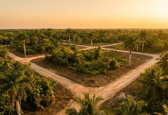 Preventa de Lotes en Tixkokob: Alta Plusvalía en Yucatán