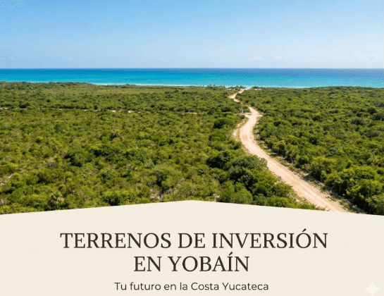 Terrenos en Yobaín: Inversión Segura en la Costa Yucateca