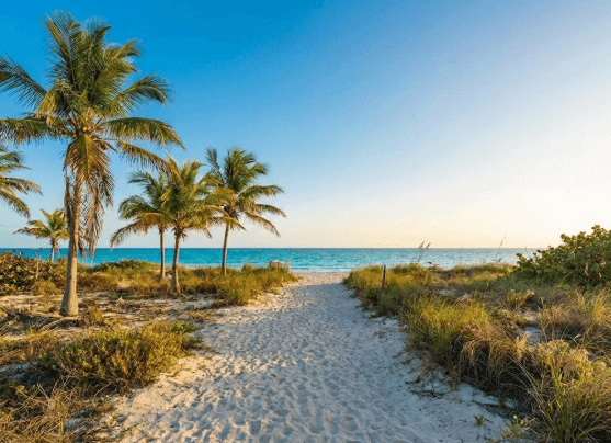 Terrenos Cerca de la Playa Chabihau: Alta Plusvalía Garantizada