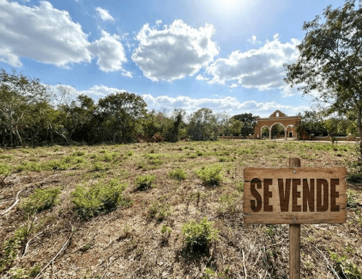 Terrenos en Venta en Teya: Alta Plusvalía cerca de Mérida