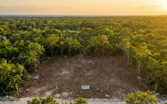 Terrenos en Venta en Temax: Inversión Cerca de la Playa