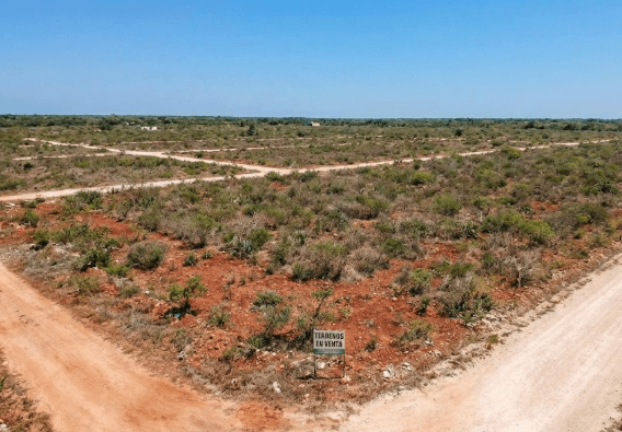 Terrenos en Seyé Económicos: Inversión Segura y Alta Plusvalía