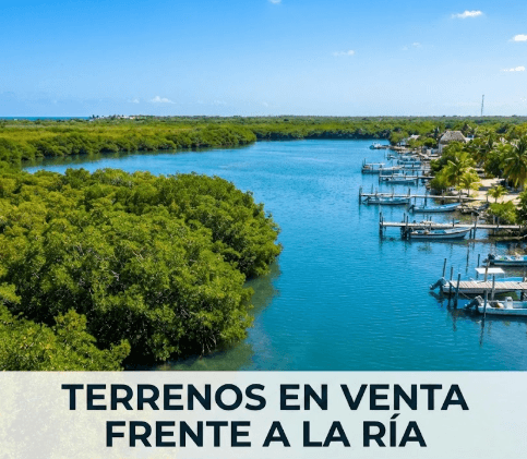 Terrenos en San Felipe Frente a la Ría: Inversión en Yucatán