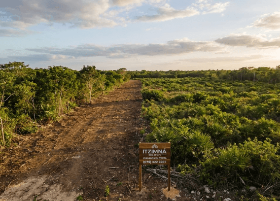 Terrenos en Sanahcat Yucatán: Inversión Segura y Alta Plusvalía