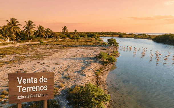 Terrenos en Río Lagartos: Tu Inversión Segura en el Paraíso