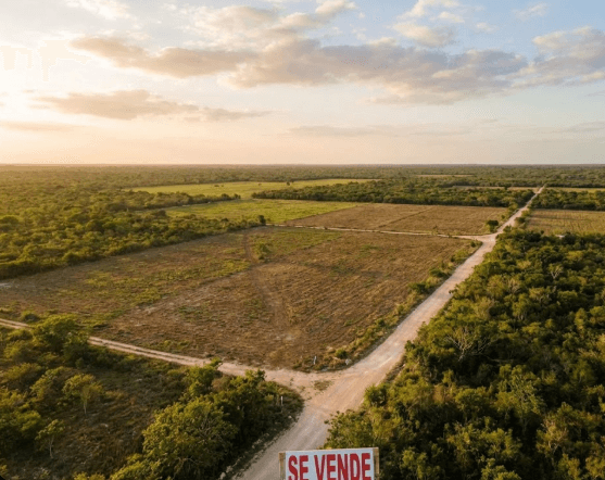 Terrenos en Quintana Roo, Yucatán: Inversión en el Municipio