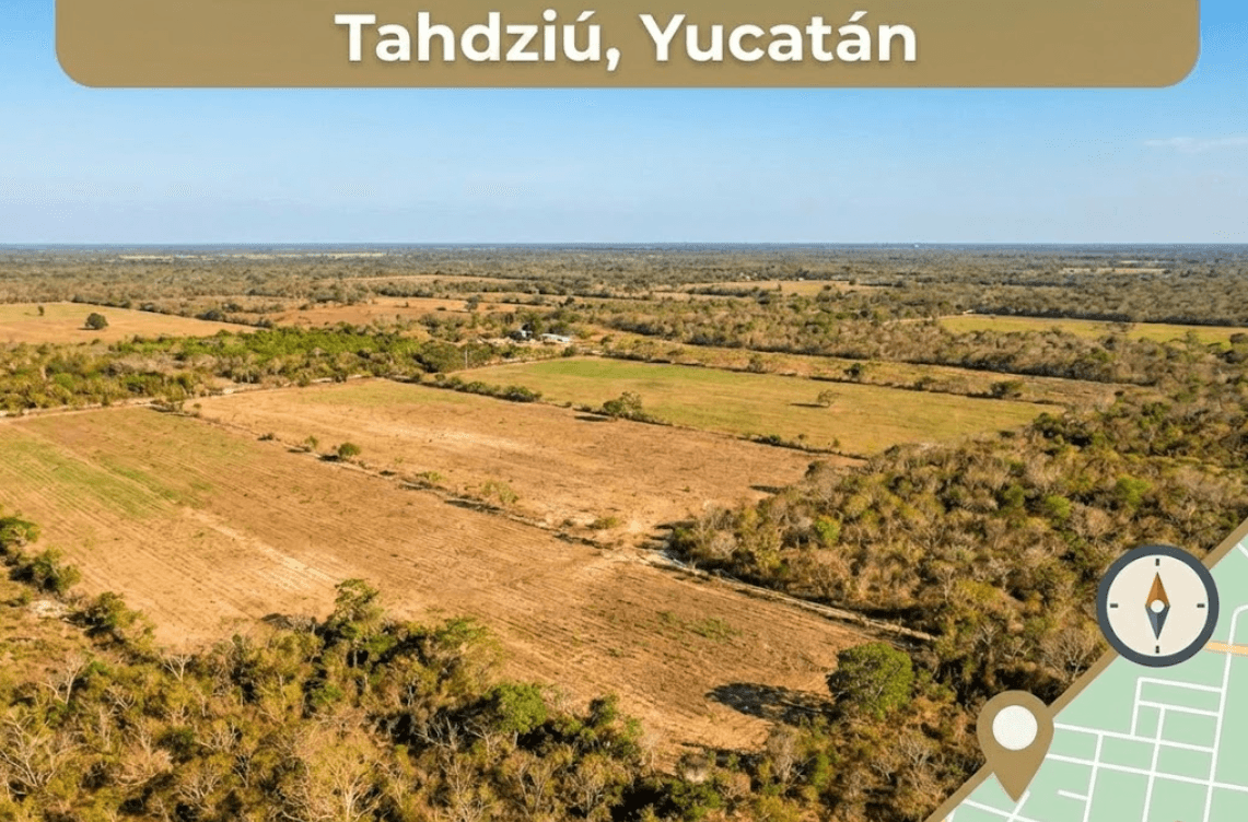 Terrenos en Tahdziú Baratos: Inversión Segura en Yucatán Hoy