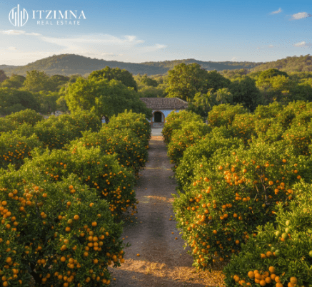 Terrenos con árboles en Oxkutzcab: Invierte en la Huerta