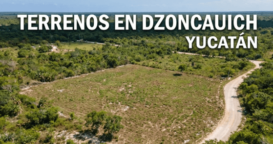 Terrenos en Dzoncauich Yucatán: Inversión de Alta Plusvalía