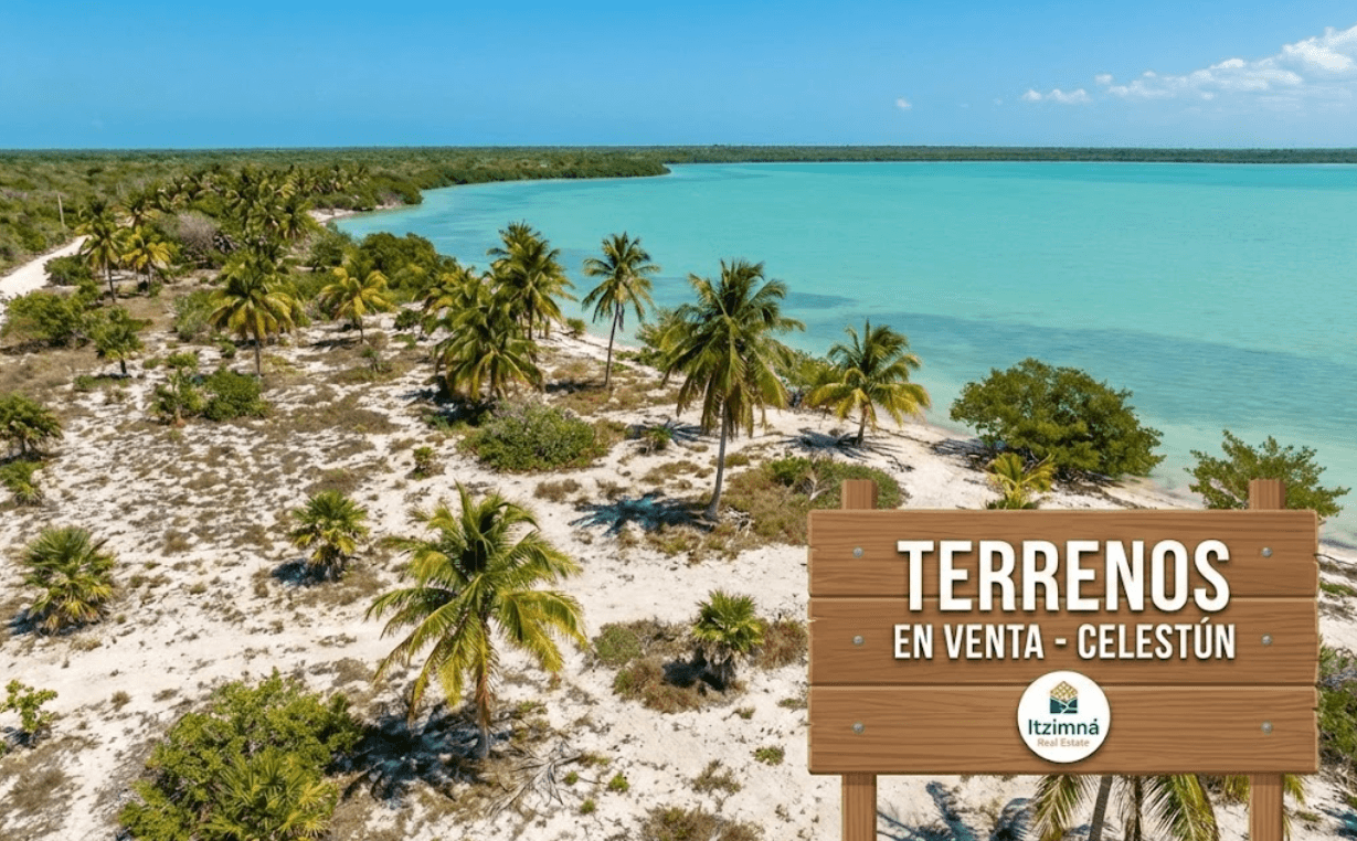 Terrenos en Celestún Económicos: Inversión de Alta Plusvalía