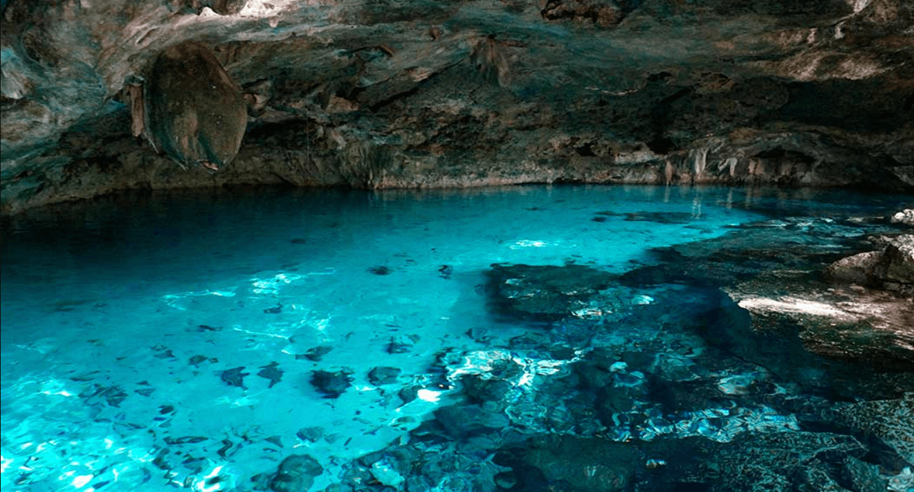 Cenote Canunche el secreto para invertir en Yucatan hoy mismo