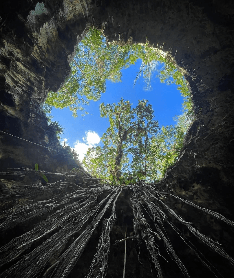 Cenote Xooch: La Joya de Santa Barbara y Tu Futuro en Yucatan