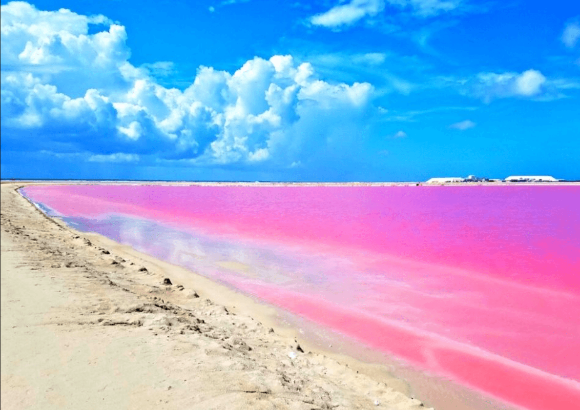 Cooperativas de Salineras en Las Coloradas Guia de Inversion