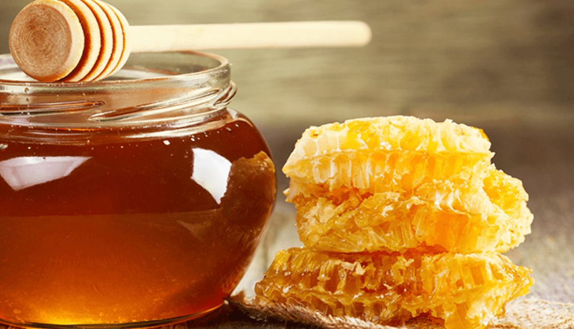 Productores de Miel en Oxkutzcab e Inversion en Yucatan