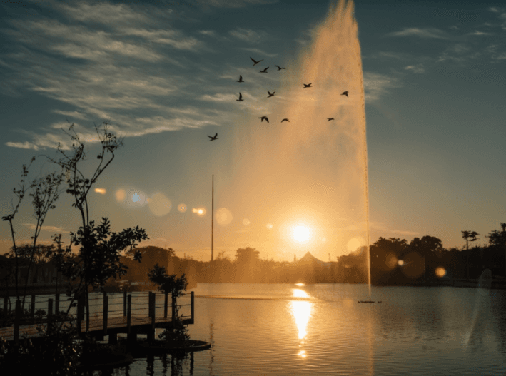 Lago Parque La Plancha: Tu Hogar y Mejor Inversión