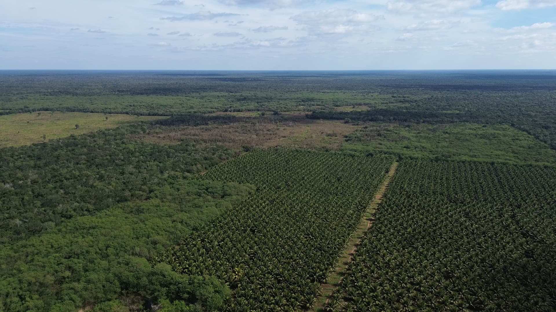 Selvika, tierra de los cuatro elementos