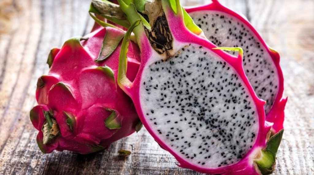 La Guia Definitiva de la Pitahaya de Yucatan