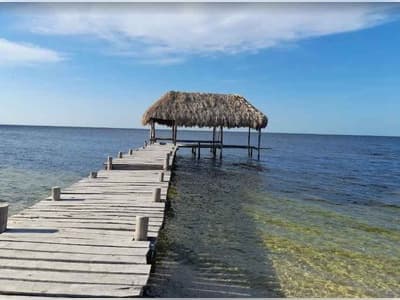 Playa Neviker, Yucatán: La Guía Definitiva
