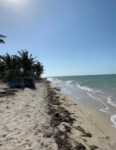 Playa san benito yucatan