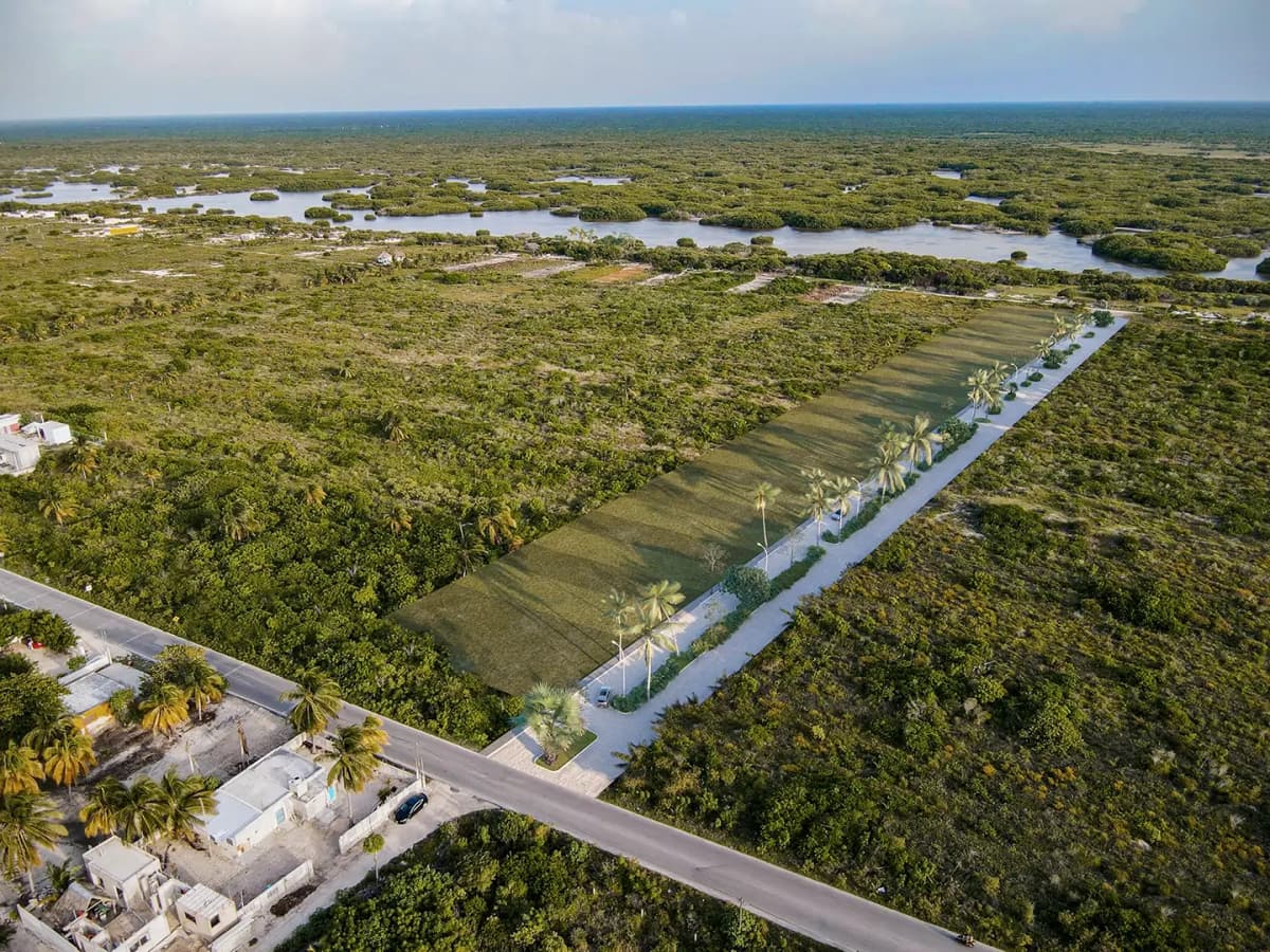 Invierte en Terrenos en Telchac, Yucatán. Itzimina Real Estate ofrece propiedades con certeza jurídica, listas para escriturar y alta plusvalía. ¡Tu paraíso te espera!