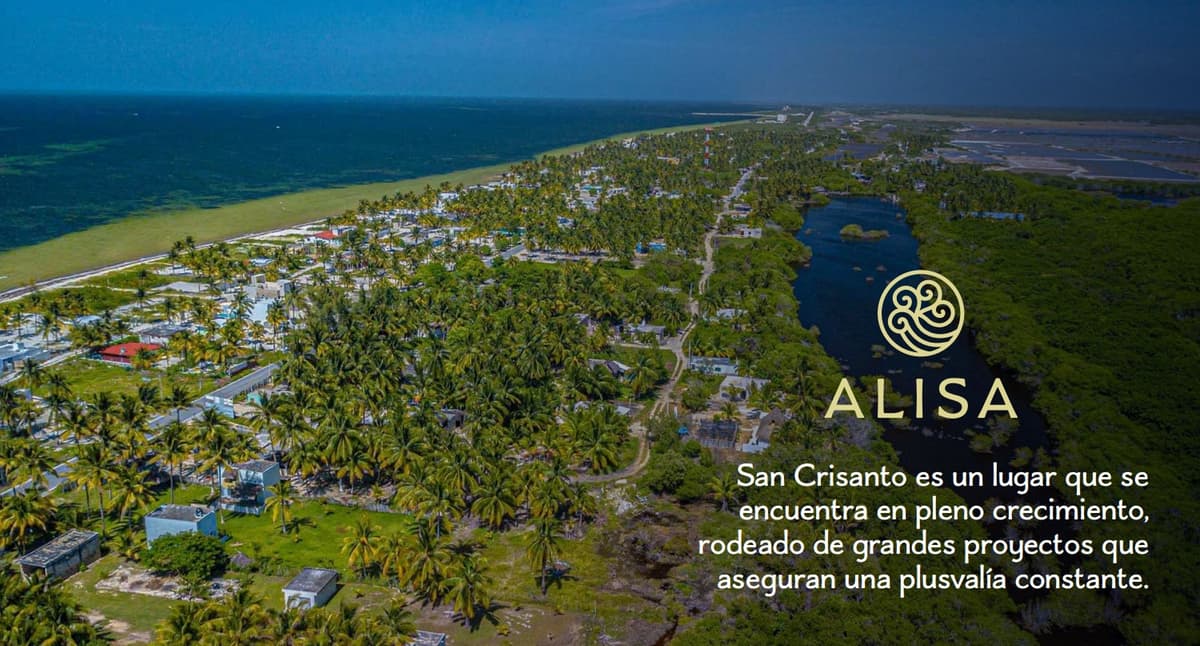 alisa puerto kino -1