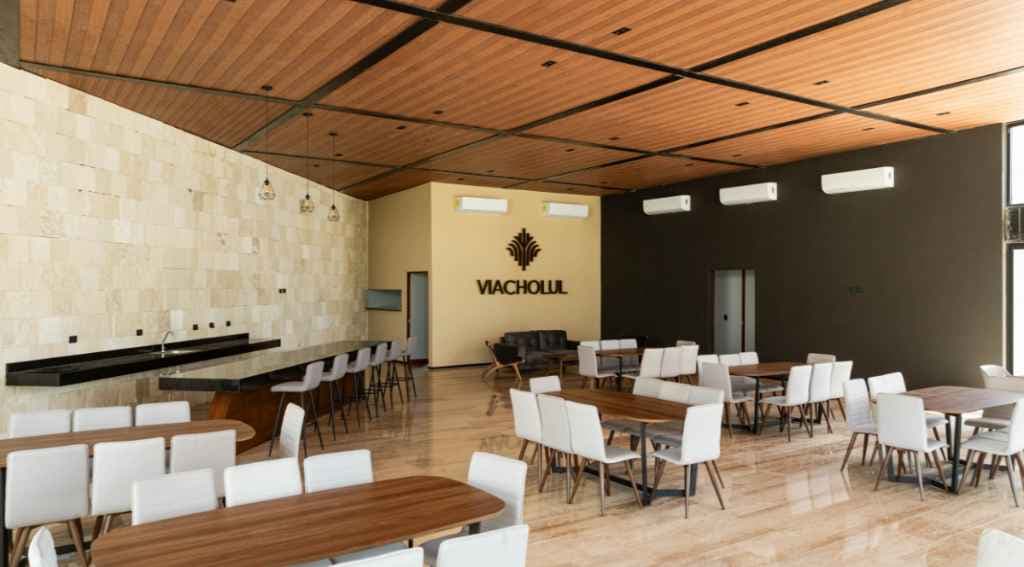 viacholul 2