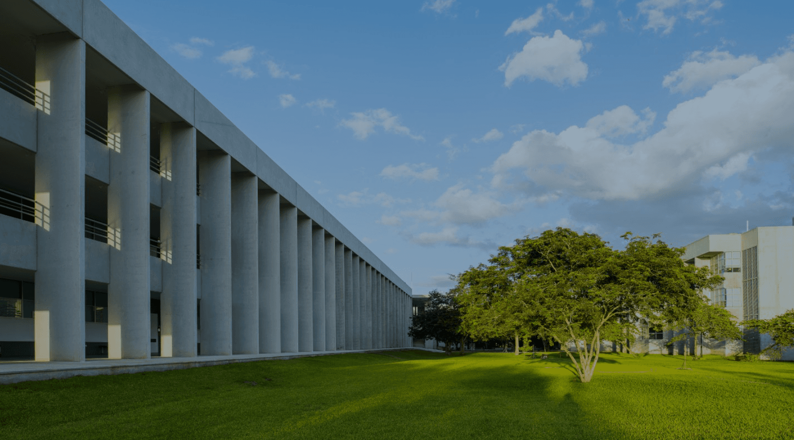 UNIVERSIDAD MARISTA DE MERIDA GUIA COMPLETA PARA ESTUDIANTES