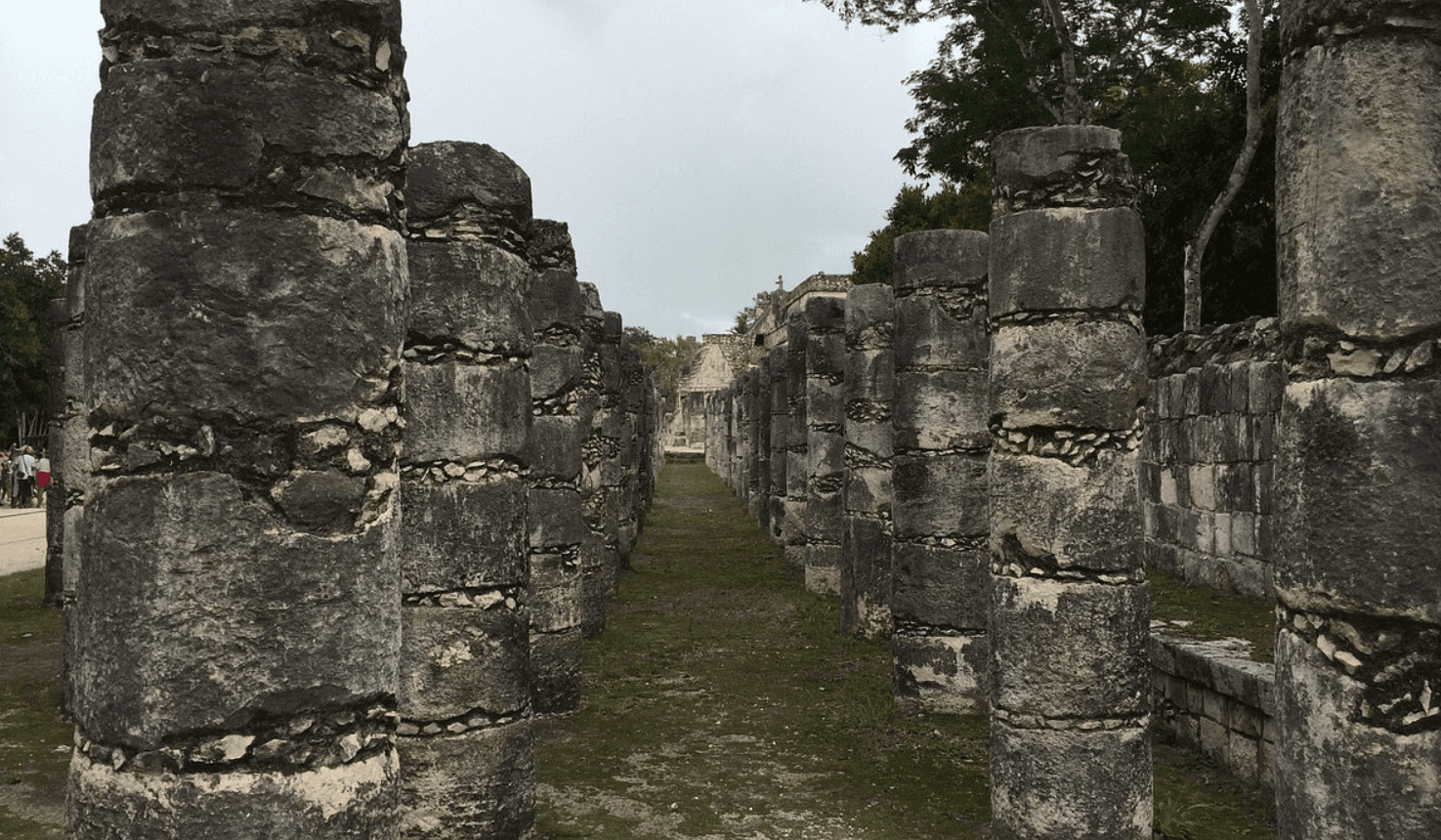 Piste y San Felipe Nuevo mejores lugares cochinita y madera