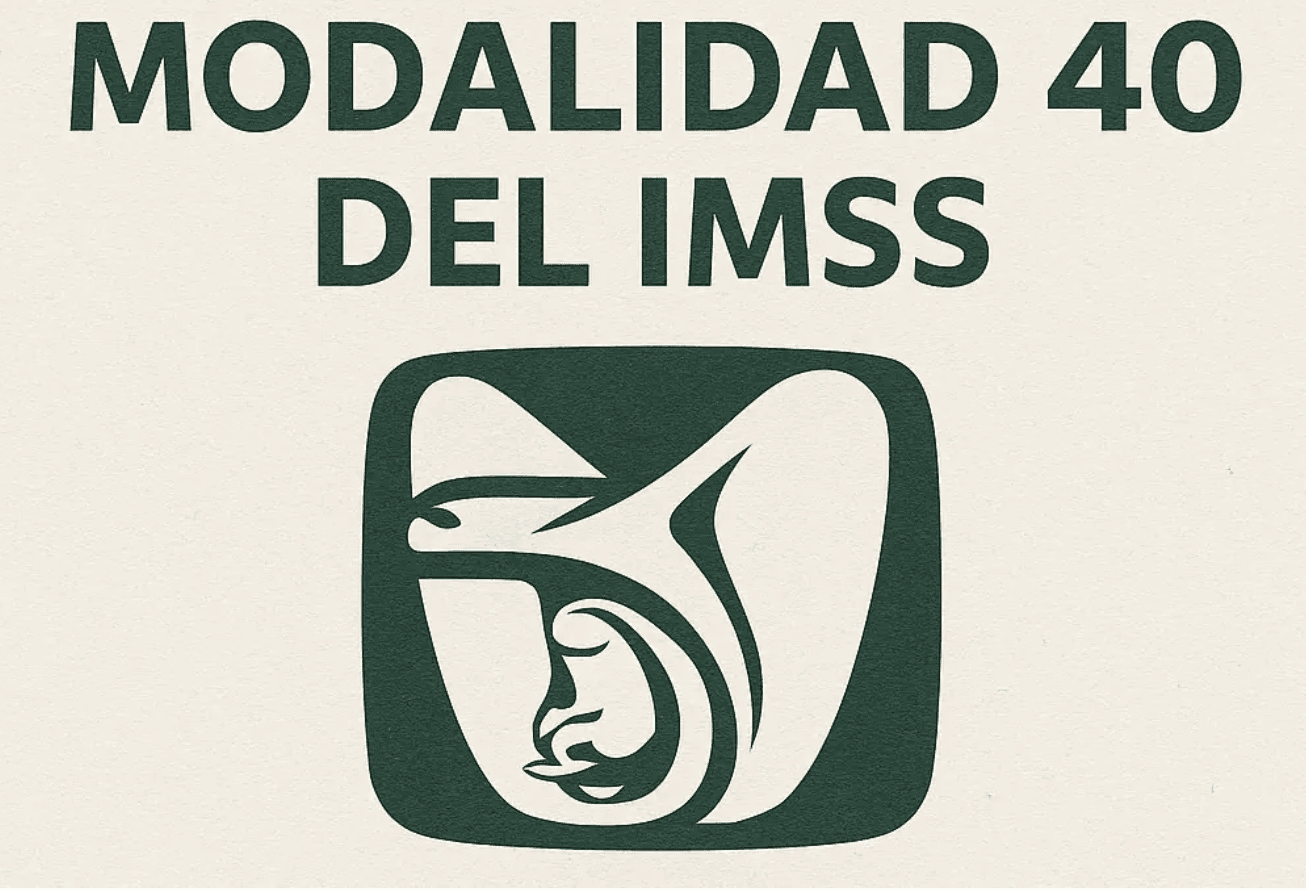 Modalidad 40 guia completa de pension e inversion