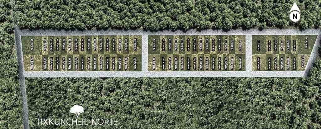 --- **Tixkuncheil Norte** ofrece lotes semi-urbanizados en Baca, Yucatán. Conectado al Tren Maya, cuenta con Casa Club y financiamiento flexible. Invierte en tu hogar rodeado de naturaleza y alta plusvalía. --- **Tixkuncheil Norte** ofrece lotes semi-urbanizados en Baca, Yucatán. Conectado al Tren Maya, cuenta con Casa Club y financiamiento flexible. Invierte en tu hogar rodeado de naturaleza y alta plusvalía.