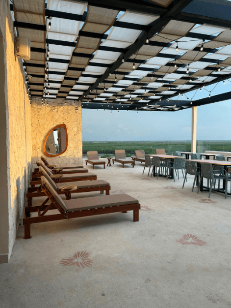 Rosa Palmar 4 Rosa Palmar 4