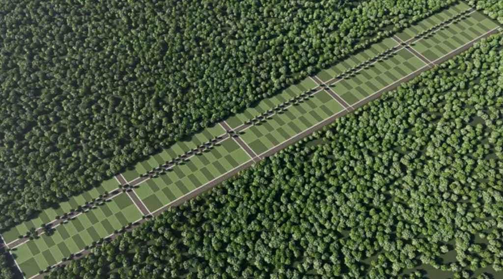 tierra verde tierra verde