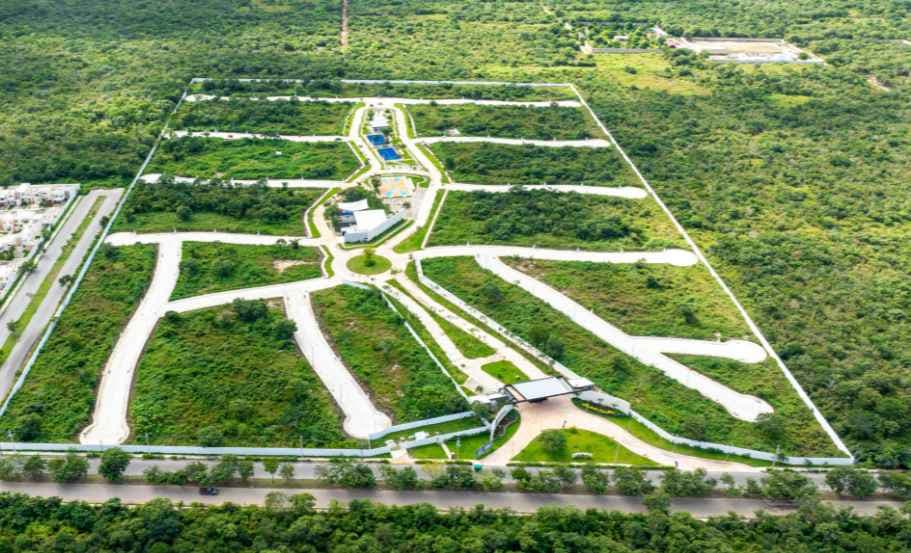 viacholul 3 viacholul 3