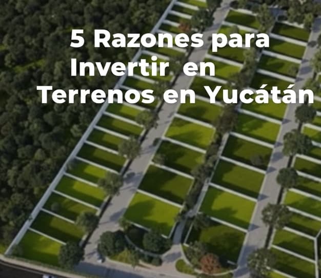 Guía 2025: 5 Razones para Invertir en Terrenos en Yucatán