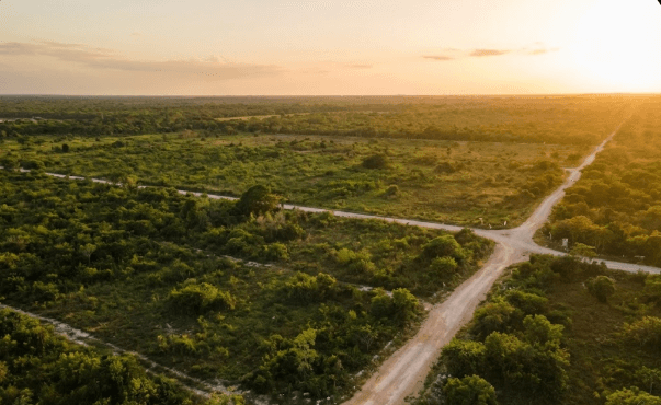 Terrenos en Tixméhuac Yucatán: Inversión Segura y Alta Plusvalía