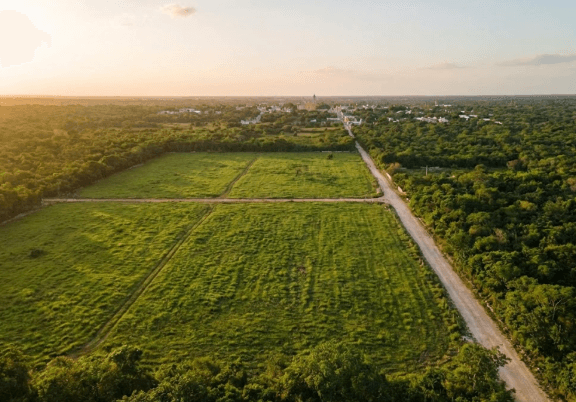 Terrenos en Tixcacalcupul: Inversión Segura cerca de Valladolid