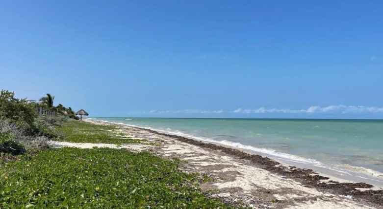 VENTA DE TERRENOS EN PLAYA YUCATAN