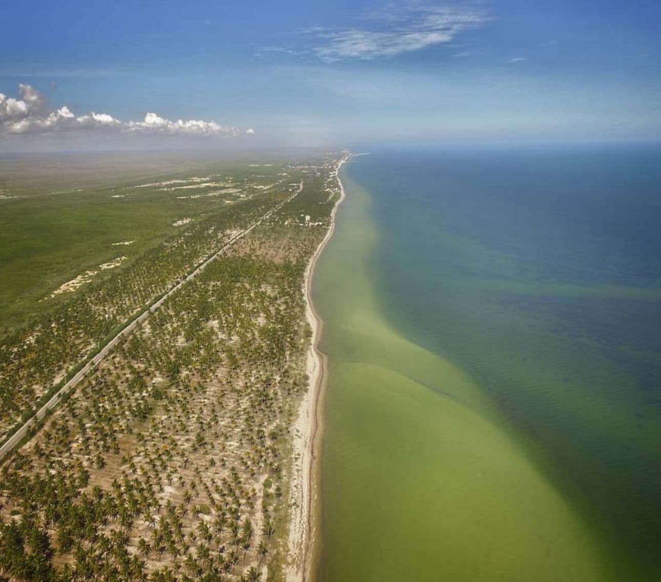 Desarrollos en Telchac